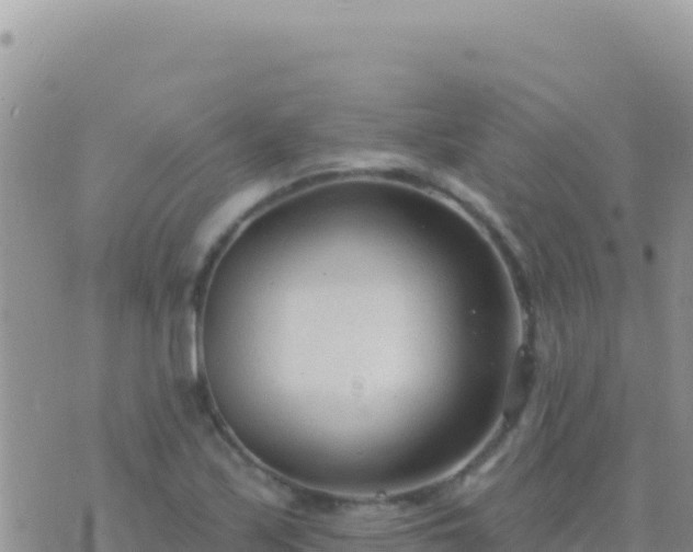 X0000073761171200608102038