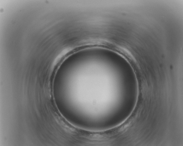 X0000073761172200608102038