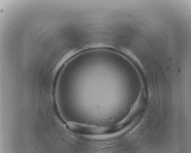 X0000073761173200608102038