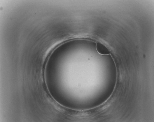 X0000073761174200608102038