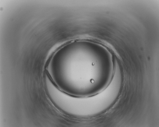 X0000073761176200608102038