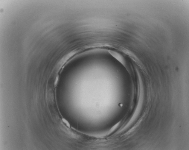 X0000073761177200608102038