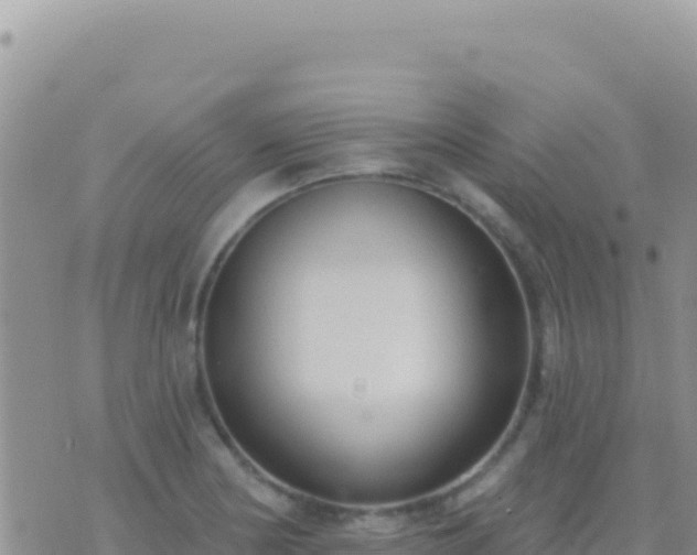 X0000073761178200608102038