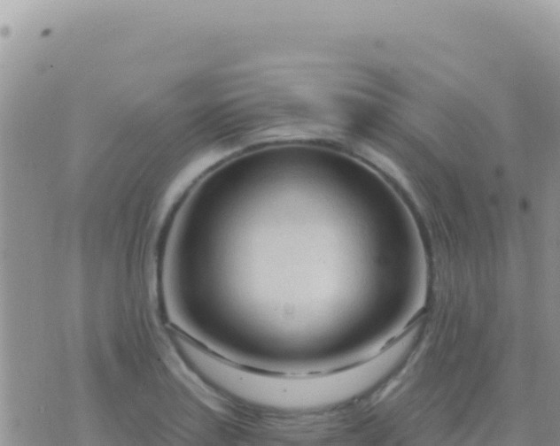 X0000073761179200608102038