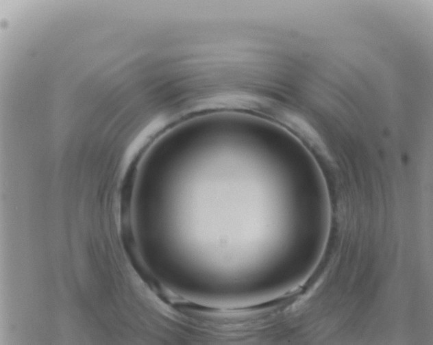 X0000073761180200608102038