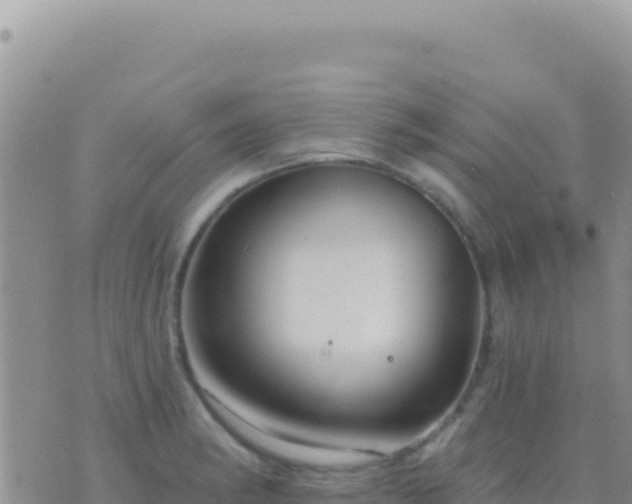 X0000073761182200608102038