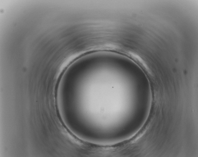 X0000073761184200608102038