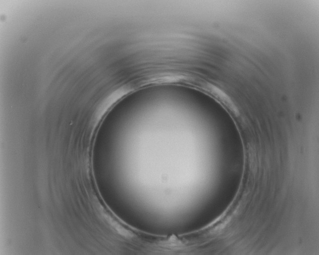 X0000073761186200608102038