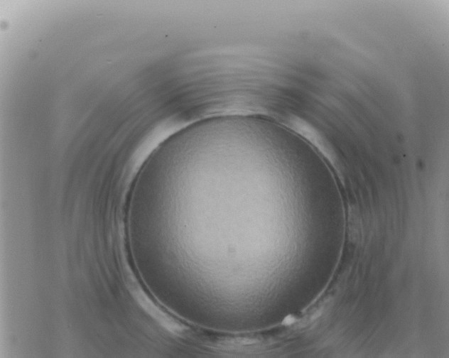 X0000073761187200608102038