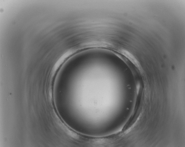 X0000073761188200608102038