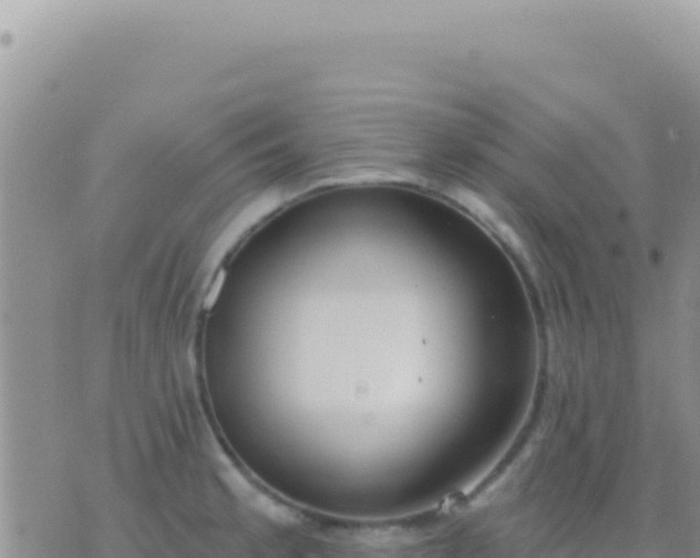 X0000073761189200608102038