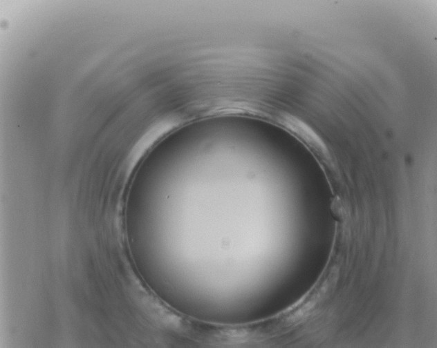 X0000073761190200608102038