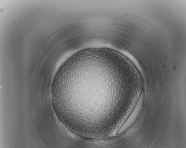 X0000073761191200608102038