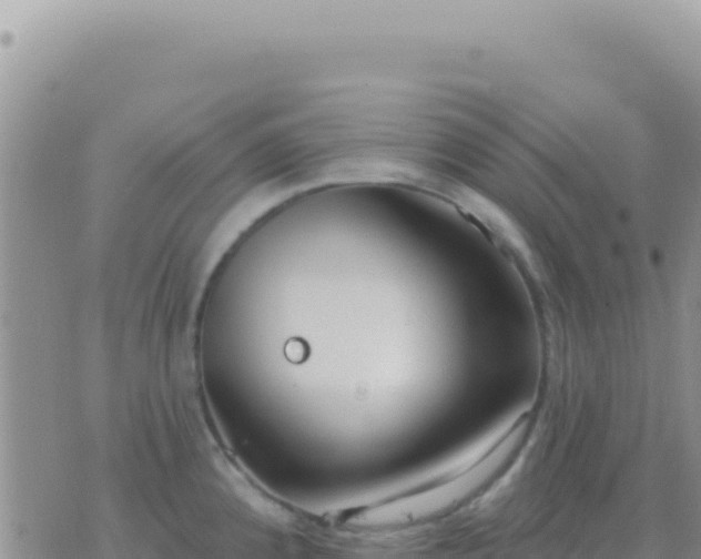 X0000073761192200608102038