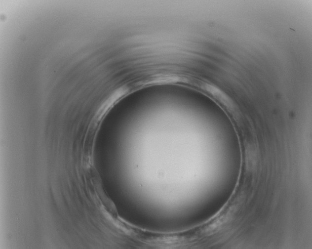 X0000073761193200608102038