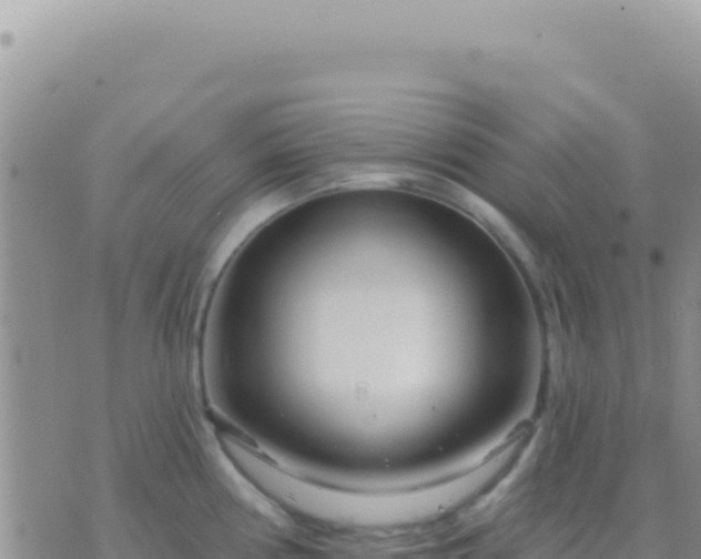 X0000073761194200608102038