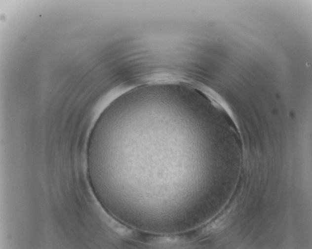 X0000073761195200608102038