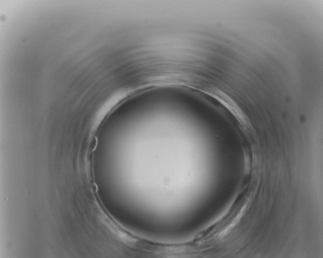 X0000073761196200608102038