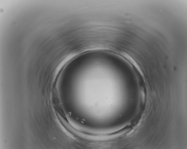 X0000073761197200608102038