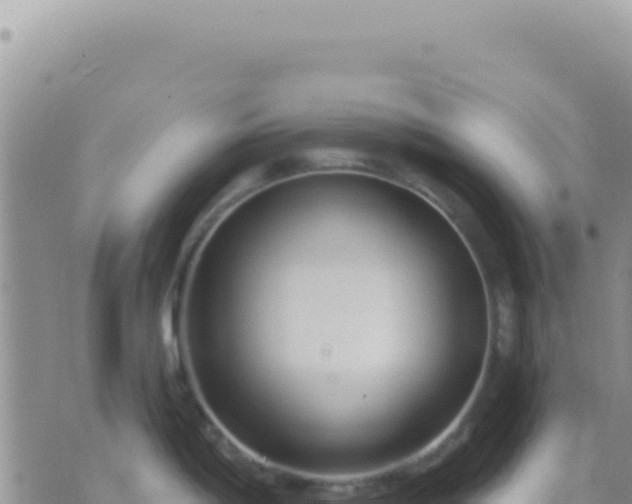 X0000073761198200608102038