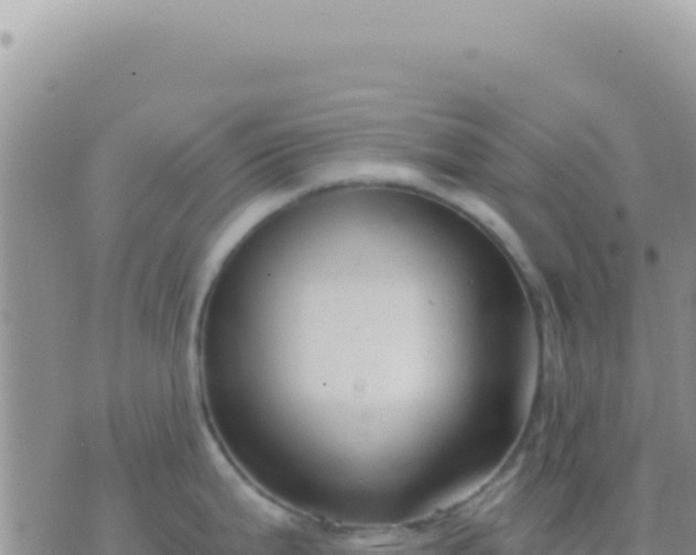 X0000073761199200608102038