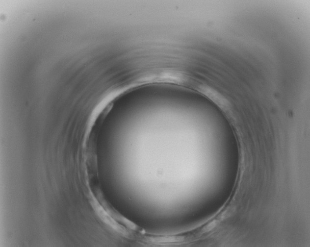 X0000073761200200608102038