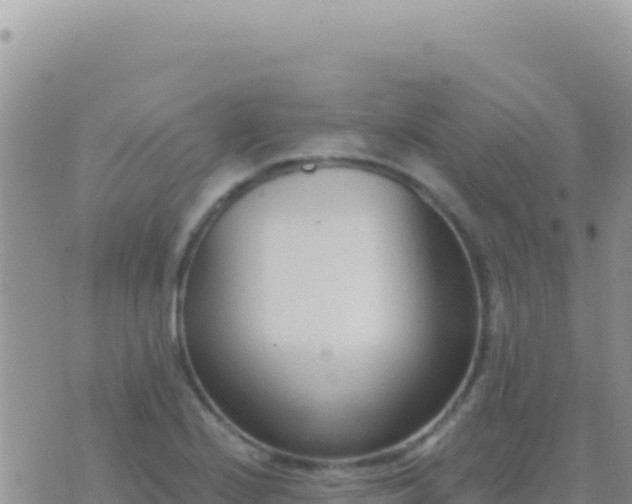 X0000073761224200608102037