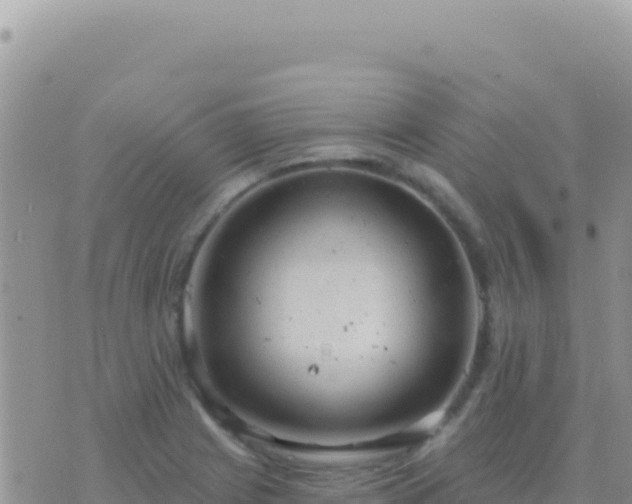 X0000073761225200608102037