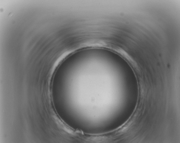 X0000073761240200608102037