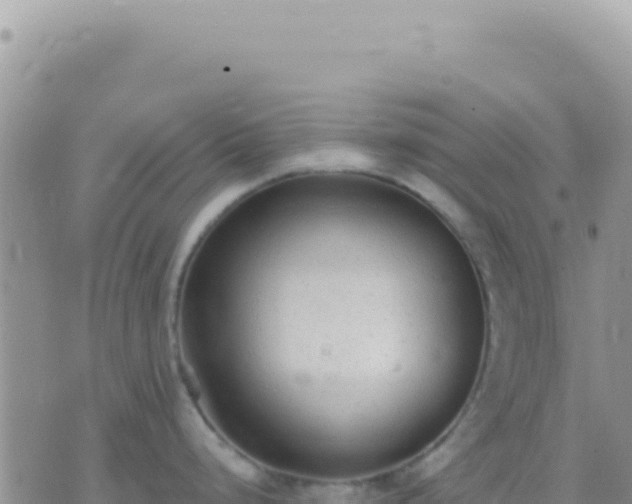 X0000073761248200608102038