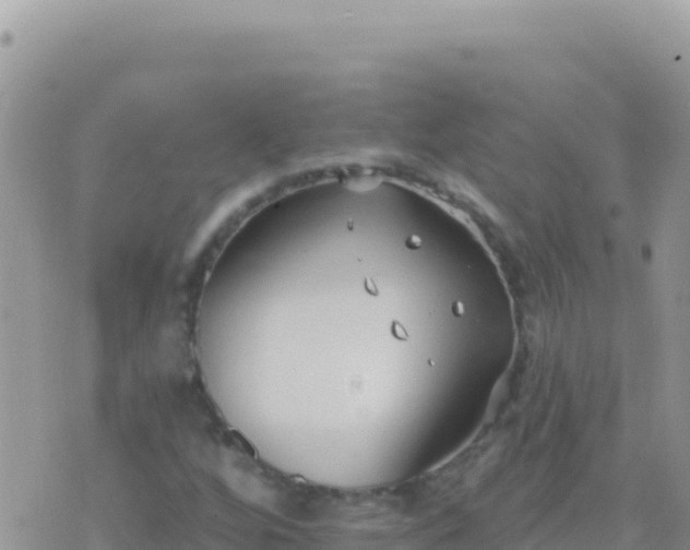 X0000073761256200608102037