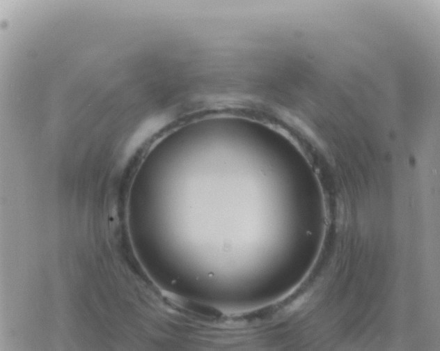 X0000073761261200608102037