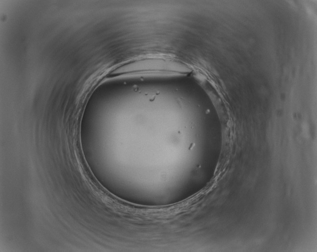 X0000073760001200608171408