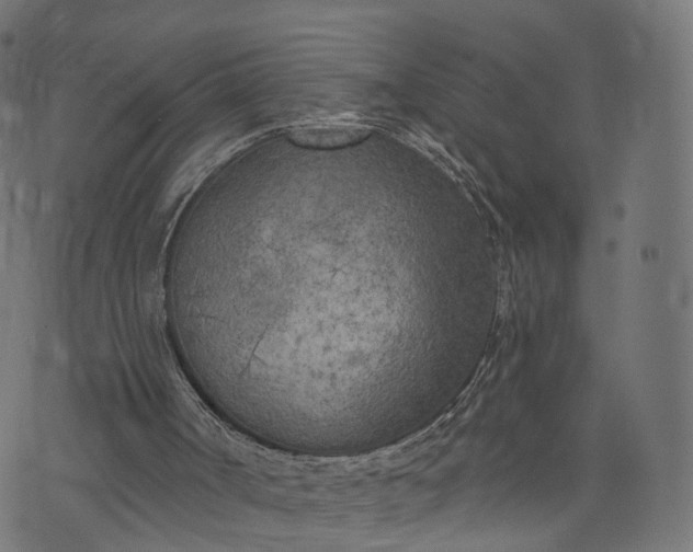 X0000073760002200608171408