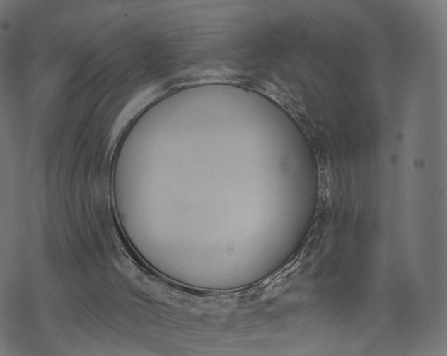 X0000073760004200608171408