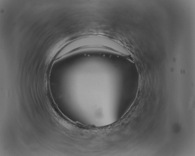 X0000073760005200608171408