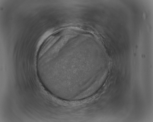 X0000073760006200608171408