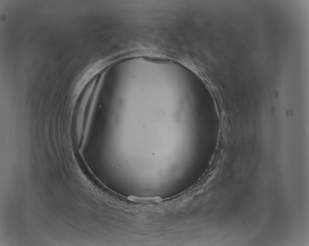 X0000073760007200608171408