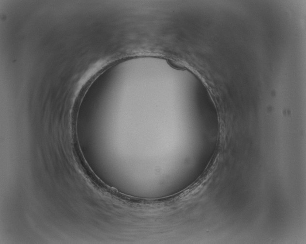 X0000073760008200608171408