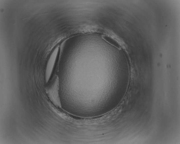 X0000073760009200608171408