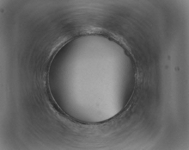 X0000073760010200608171408