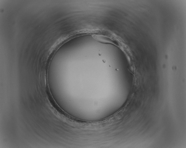 X0000073760011200608171408