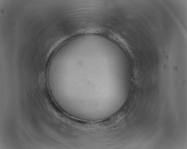 X0000073760012200608171408