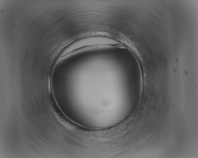 X0000073760013200608171408