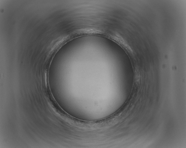 X0000073760014200608171408