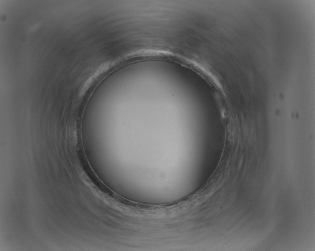 X0000073760015200608171408