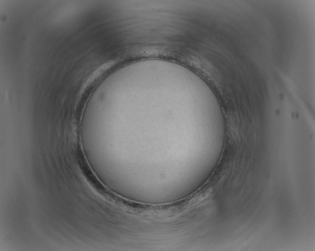 X0000073760016200608171408