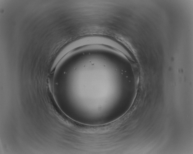 X0000073760017200608171408