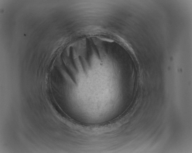 X0000073760018200608171408