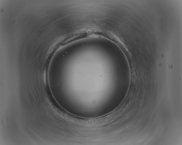 X0000073760019200608171408